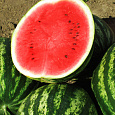 Арбуз  Порционный красный F1